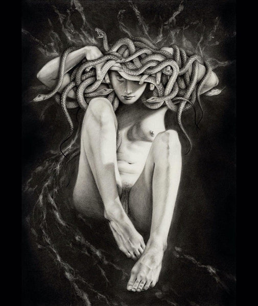Medusa: The Power to Turn the Patriarchy into Stone