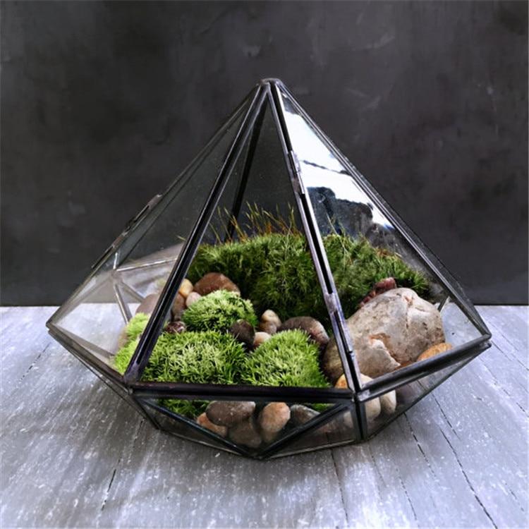 Inverse Diamond Shaped Terrarium