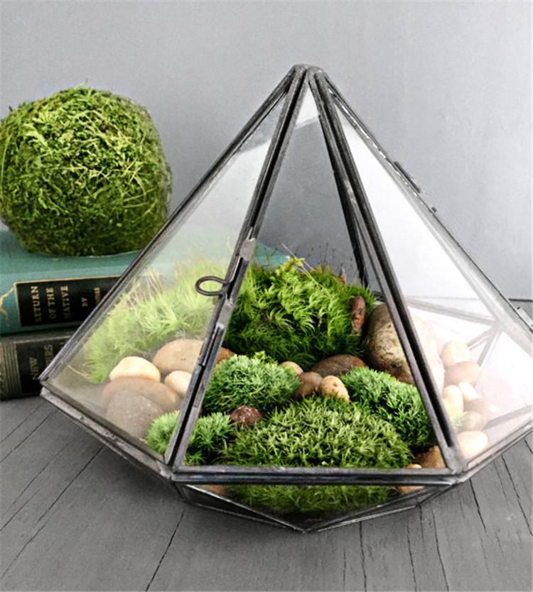 Inverse Diamond Shaped Terrarium